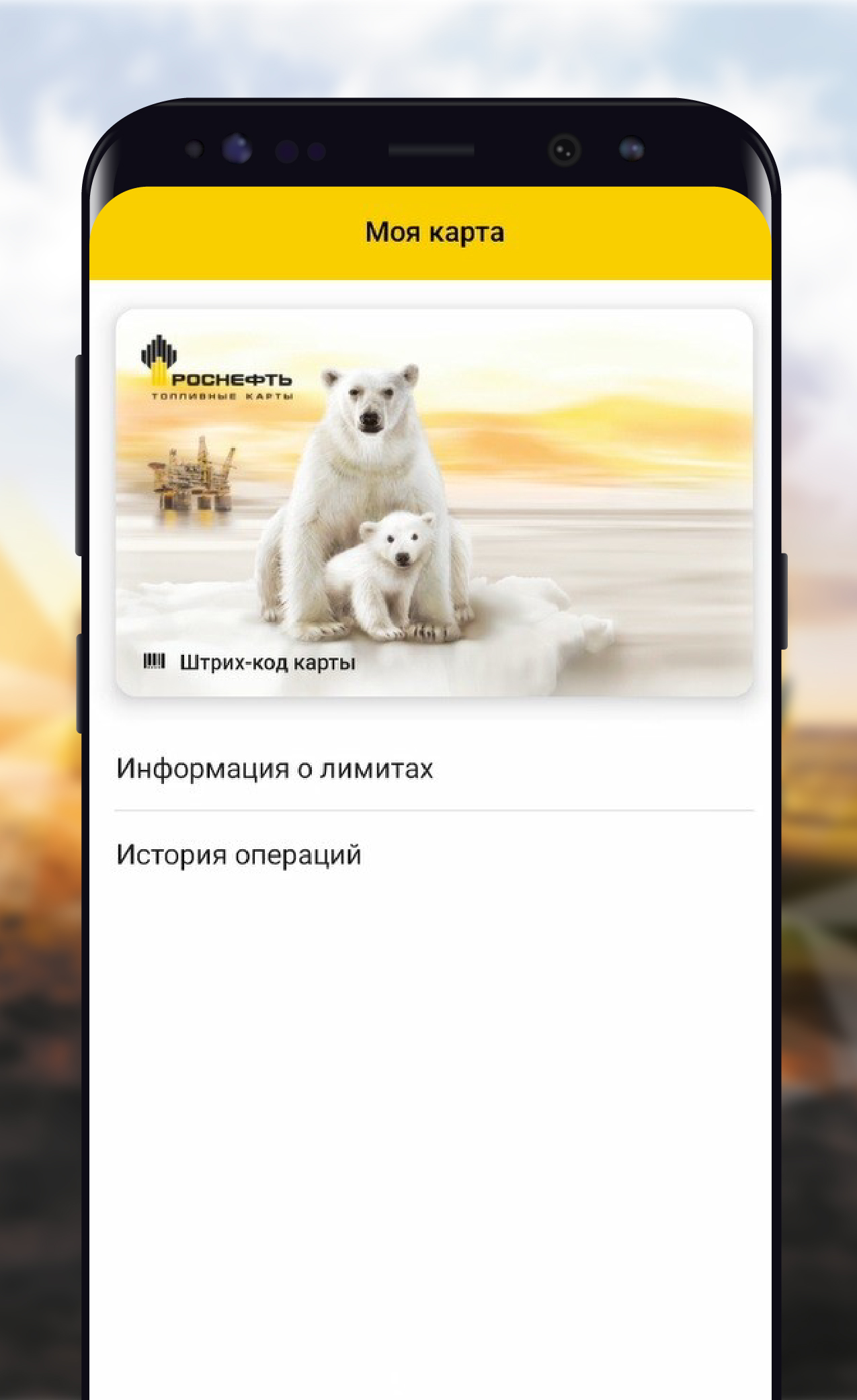 РН-Карт – скачать приложение для Android – Каталог RuStore