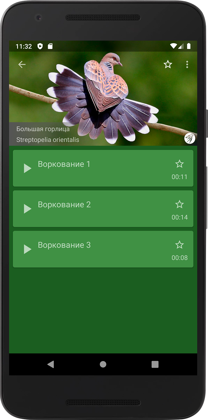 Манок на степную птицу скачать бесплатно Образ жизни на Android из каталога  RuStore от Волотковский Илья Юрьевич