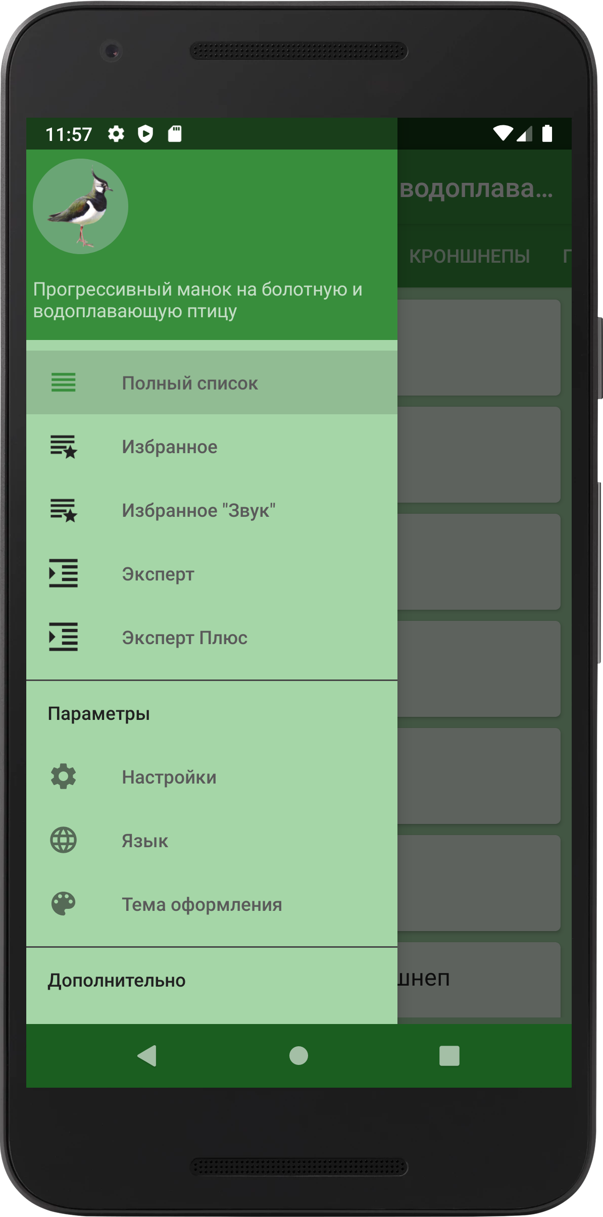 Манок на болотно-луговую птицу скачать бесплатно Образ жизни на Android из  каталога RuStore от Волотковский Илья Юрьевич