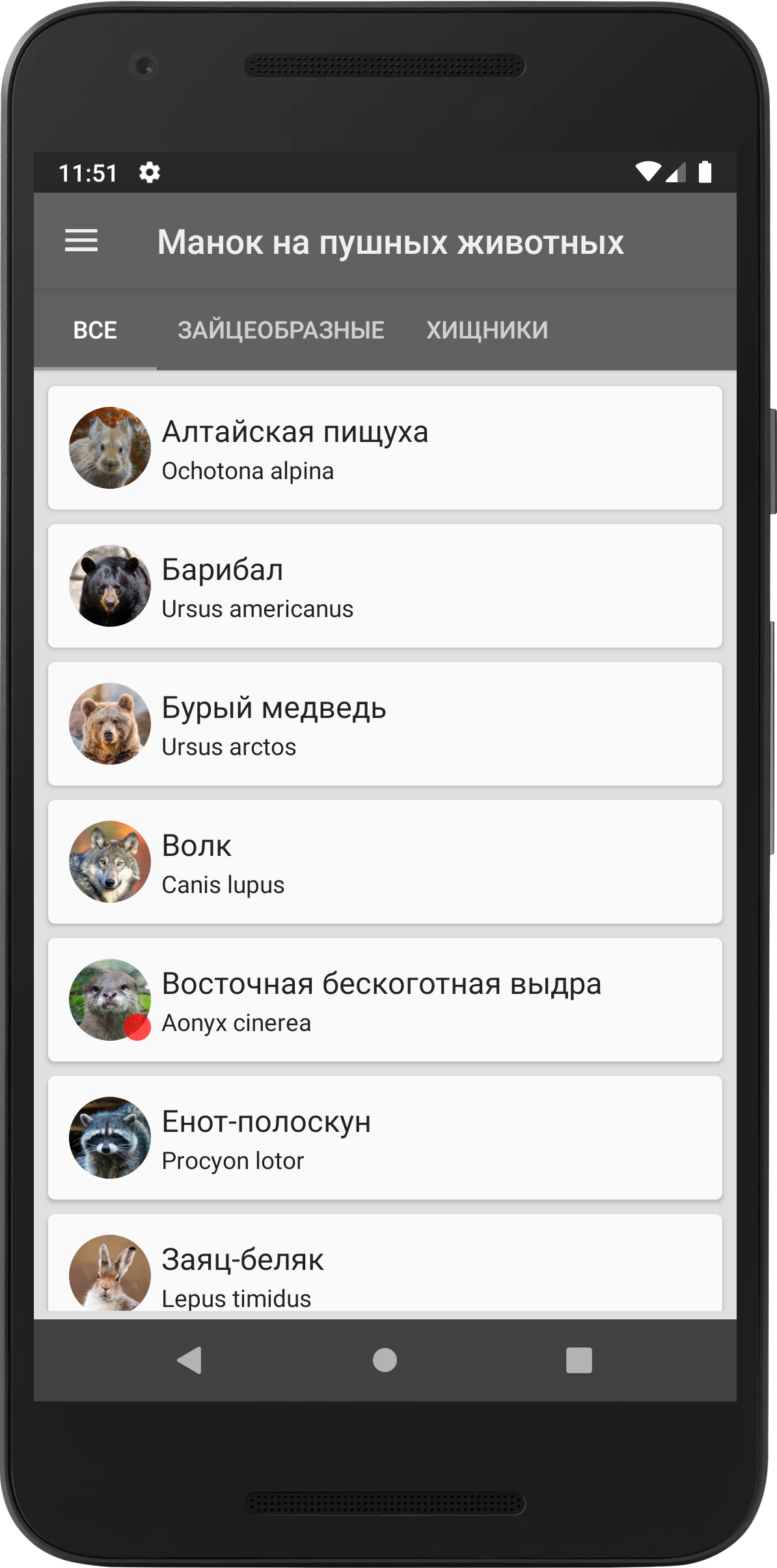 Манок на пушных животных скачать бесплатно Образ жизни на Android из  каталога RuStore от Волотковский Илья Юрьевич