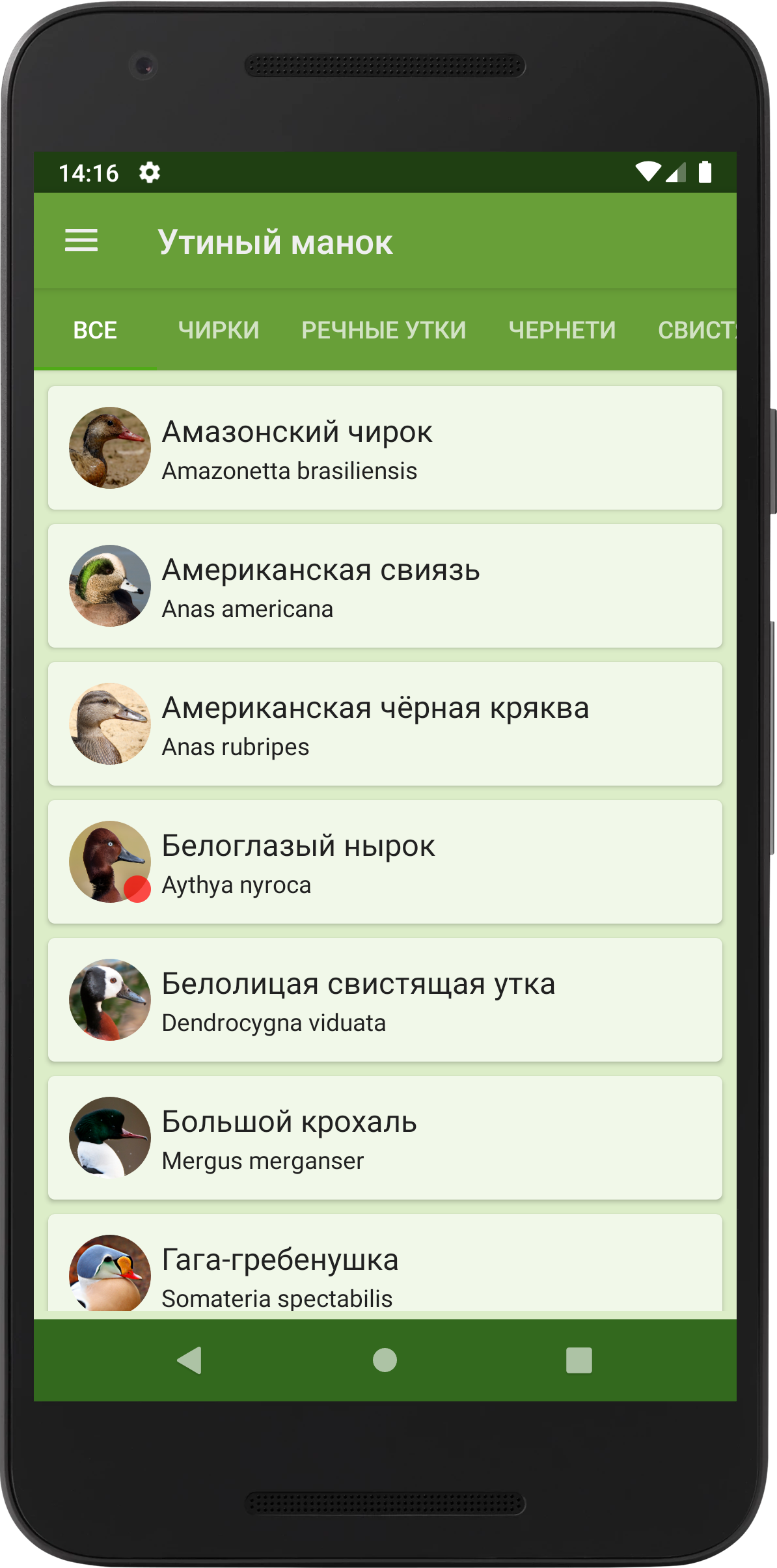 Прогрессивный Утиный манок скачать бесплатно Образ жизни на Android из  каталога RuStore от Волотковский Илья Юрьевич