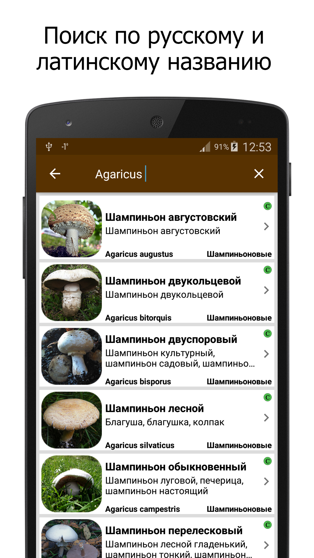 Грибы скачать бесплатно Образ жизни на Android из каталога RuStore от Vtlabs