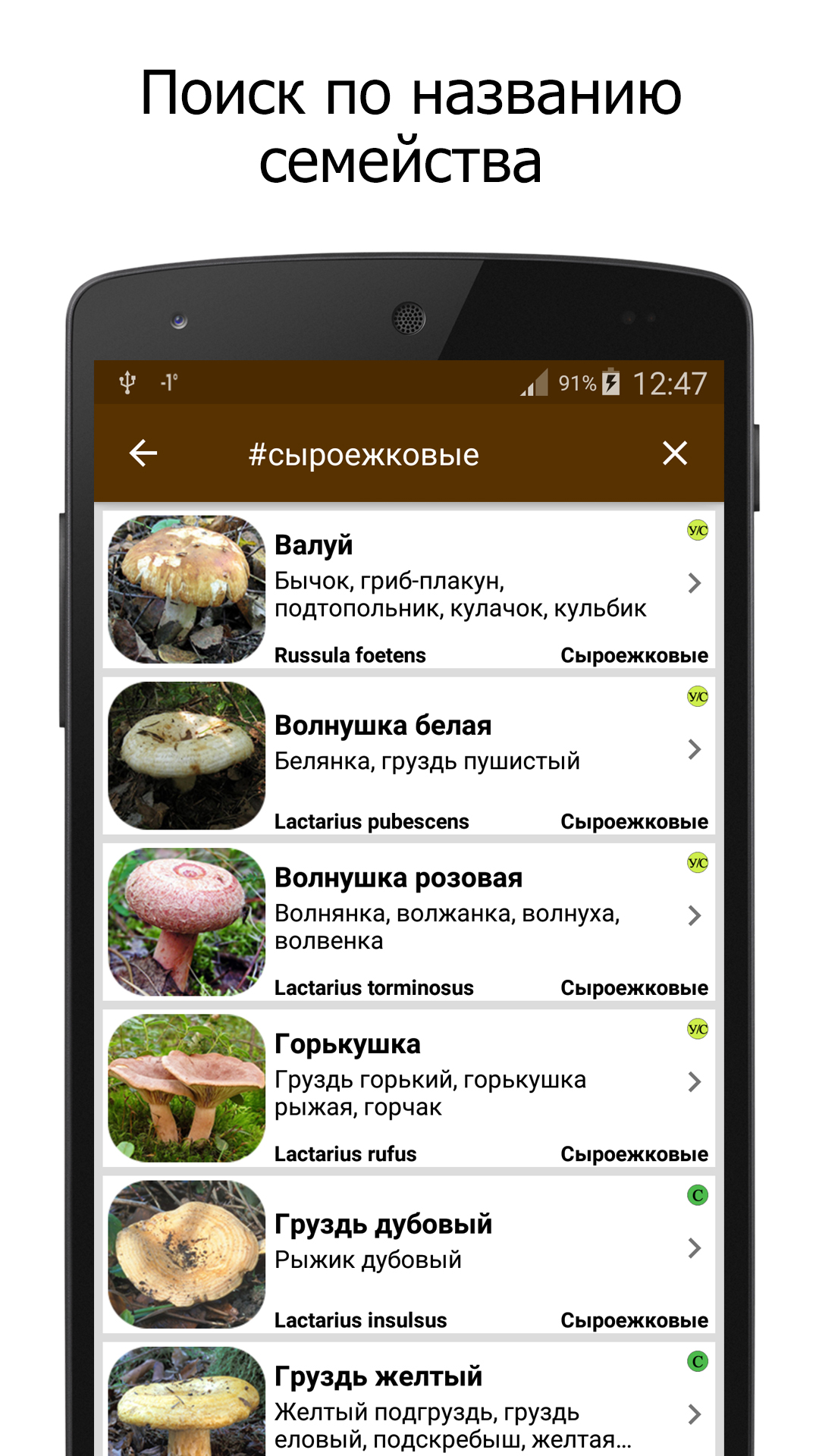 Грибы скачать бесплатно Образ жизни на Android из каталога RuStore от Vtlabs