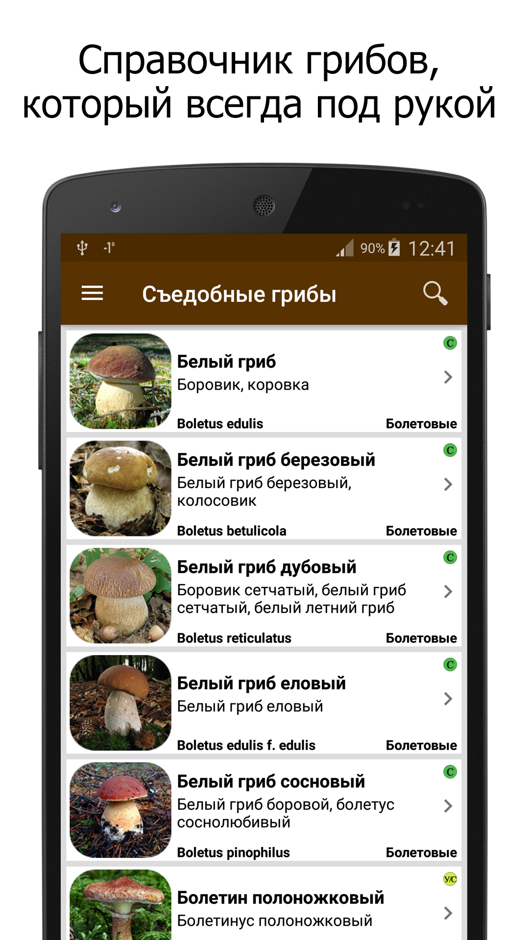 Грибы – Скачать Приложение Для Android – Каталог RuStore