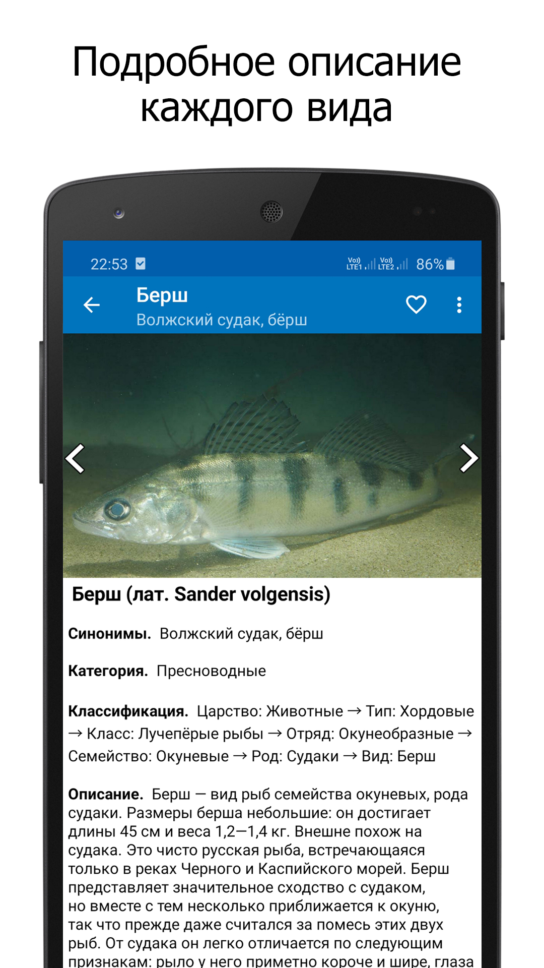 Справочник рыболова скачать бесплатно Образ жизни на Android из каталога  RuStore от Vtlabs