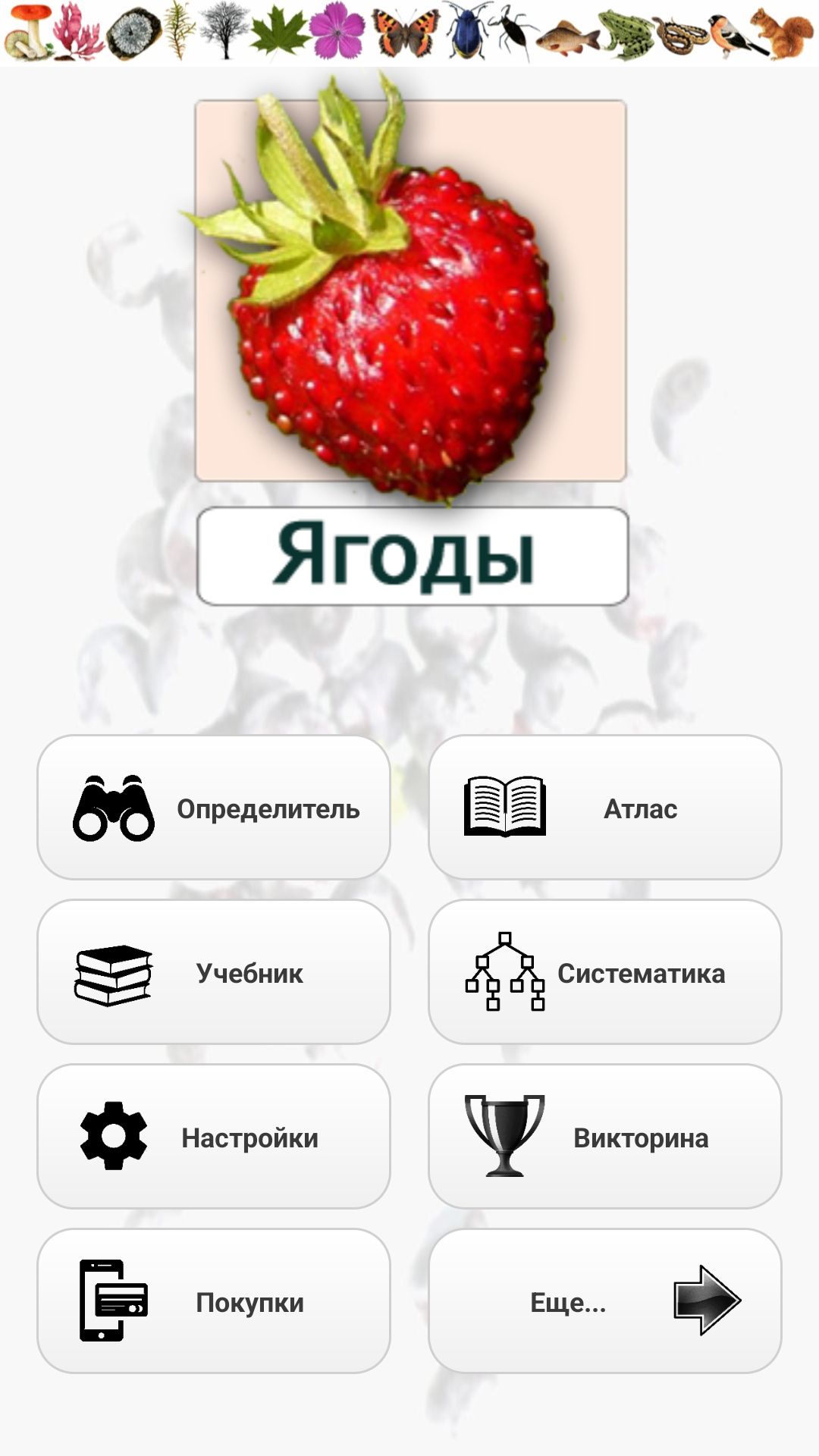 ЭкоГид: Ягоды скачать бесплатно Образование на Android из каталога RuStore  от Боголюбов Александр Сергеевич