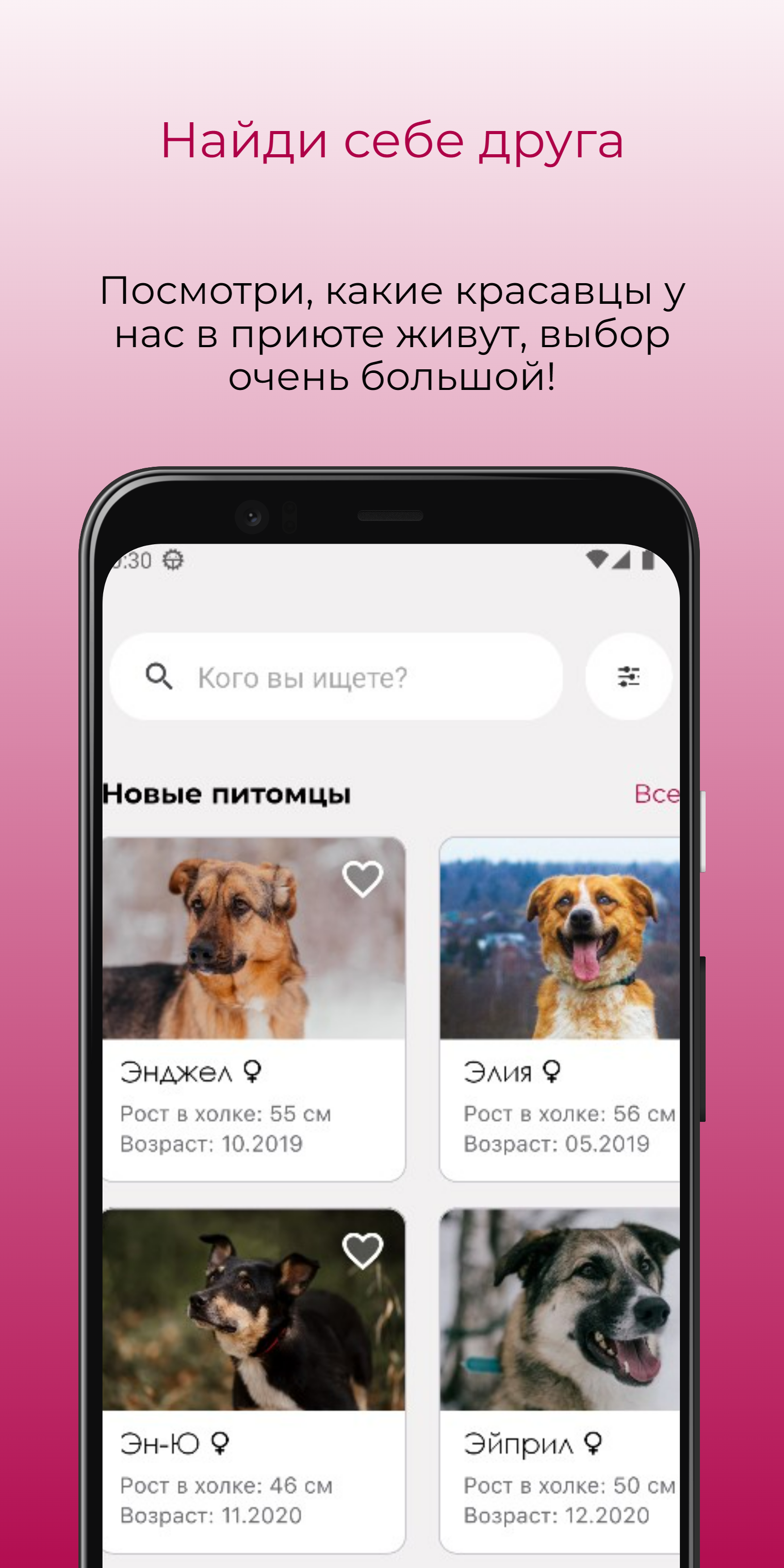 GetADog скачать бесплатно Питомцы на Android из каталога RuStore от RedPine