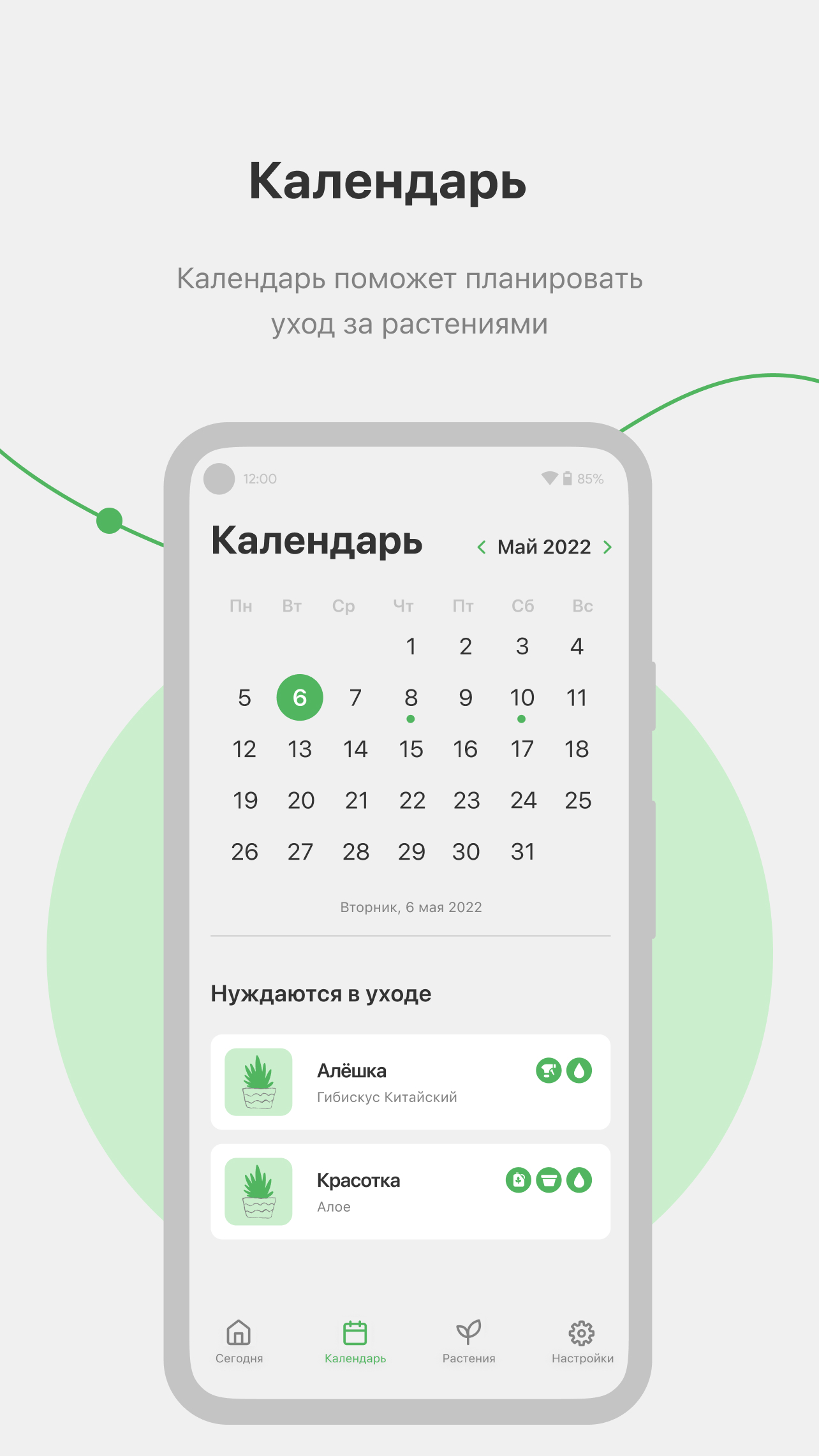 Lyrata — уход за растениями скачать бесплатно Образ жизни на Android из  каталога RuStore от Гринчевский Мартин