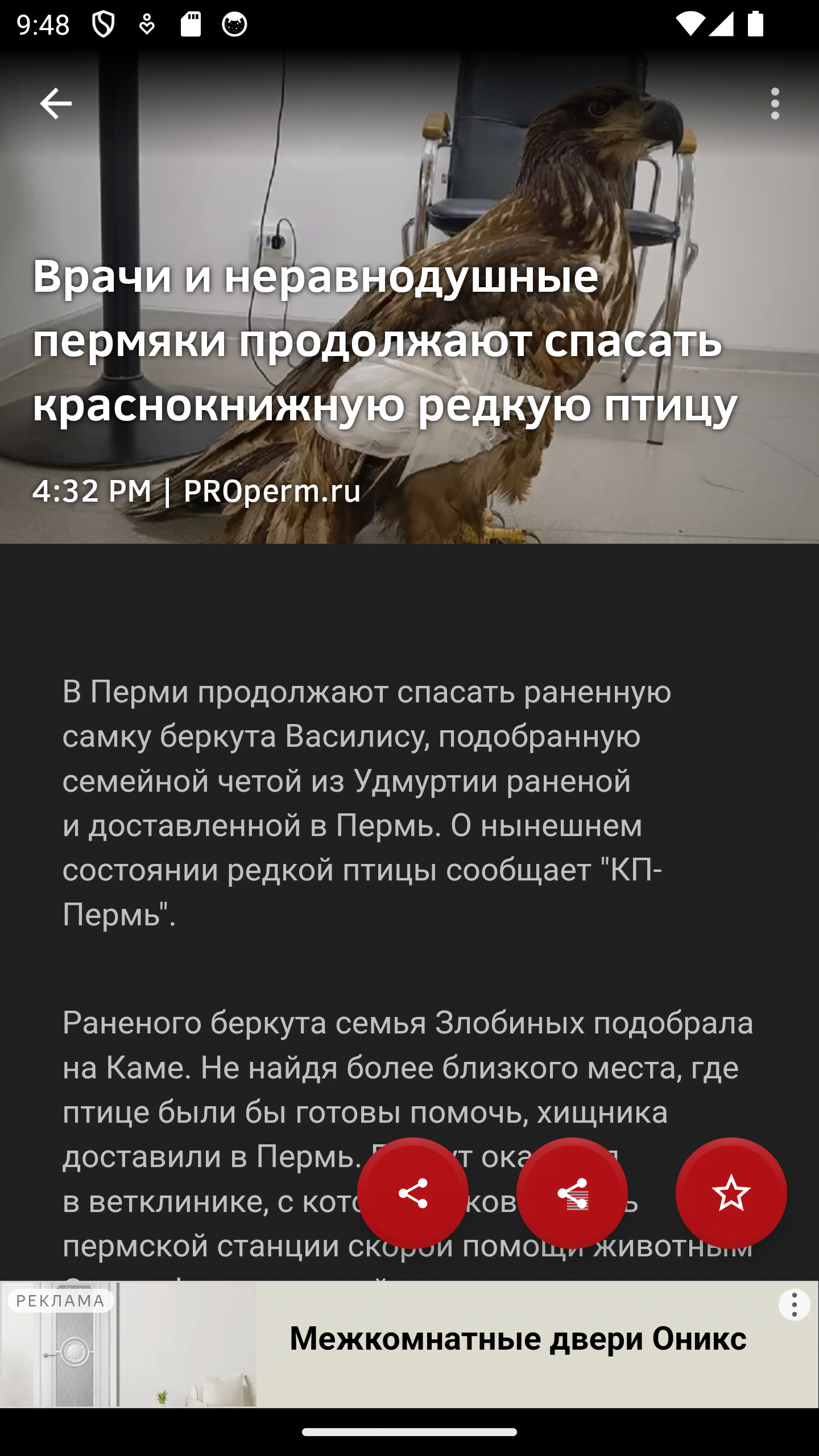 Новости 59: Пермский край скачать бесплатно Новости и события на Android из  каталога RuStore от Сергей Анатольевич Беляев