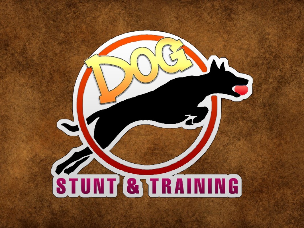 Dog Stunt & Training Simulator скачать бесплатно Казуальные на Android из  каталога RuStore от MegaByte Studios