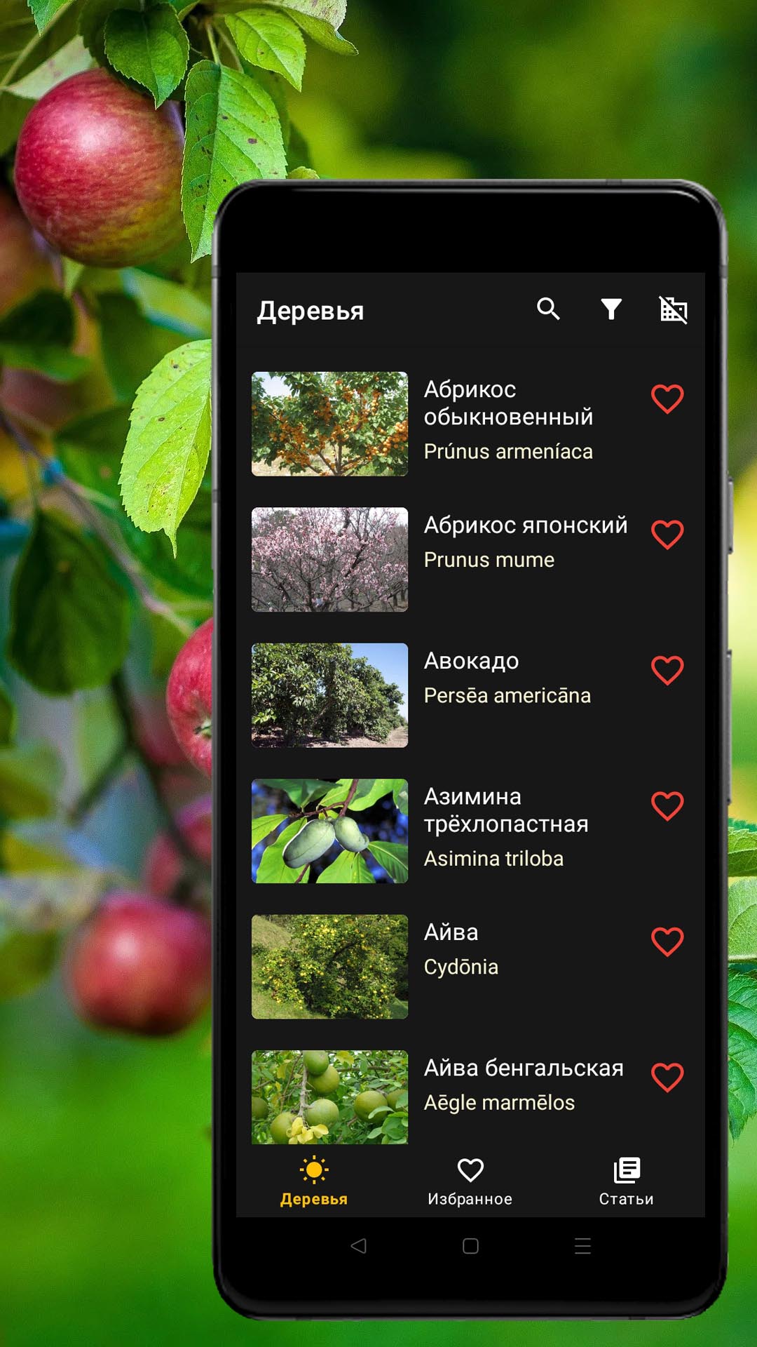 Справочник плодовых деревьев скачать бесплатно Книги на Android из каталога  RuStore от ОБЩЕСТВО С ОГРАНИЧЕННОЙ ОТВЕТСТВЕННОСТЬЮ 