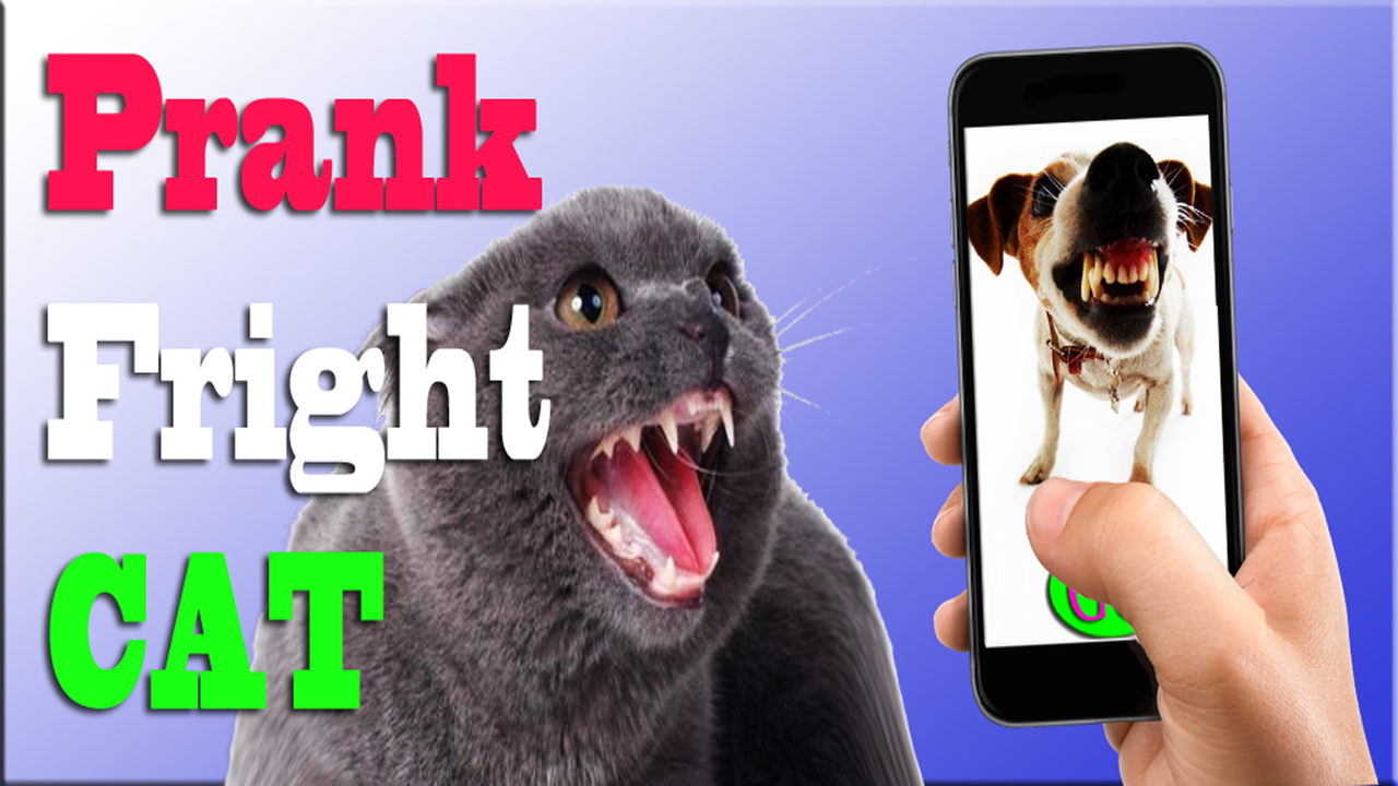 Scare Cats Sound Cat Prank скачать бесплатно Развлечения на Android из  каталога RuStore от KEYmobile