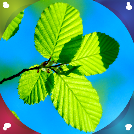 Living leaf
