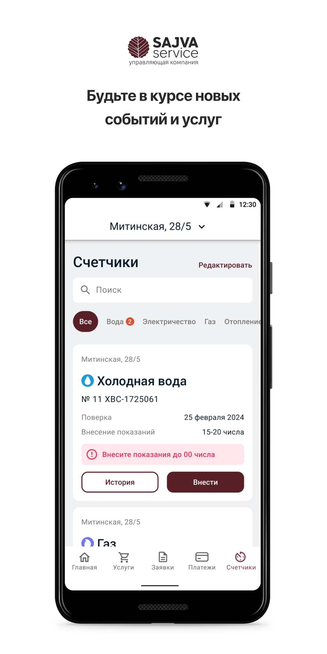 Sajva Service скачать бесплатно Полезные инструменты на Android из каталога  RuStore от Domopult LLC