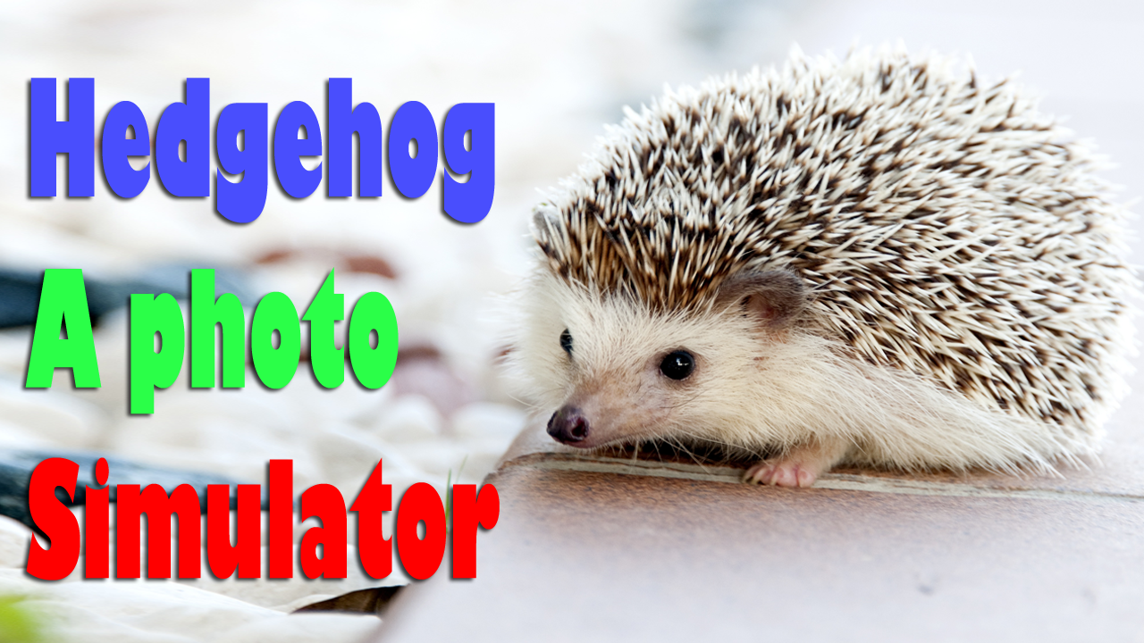 Hedgehog On Hands Screen Fun скачать бесплатно Развлечения на Android из  каталога RuStore от KEYmobile