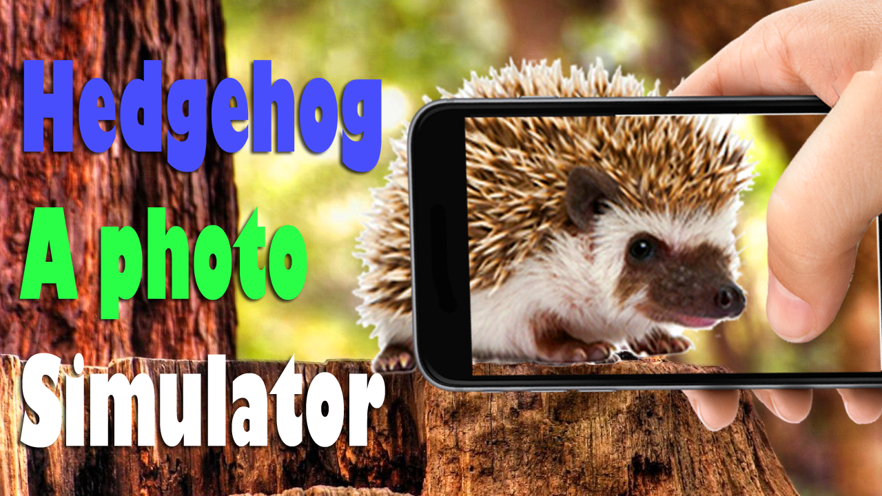 Hedgehog On Hands Screen Fun скачать бесплатно Развлечения на Android из  каталога RuStore от KEYmobile