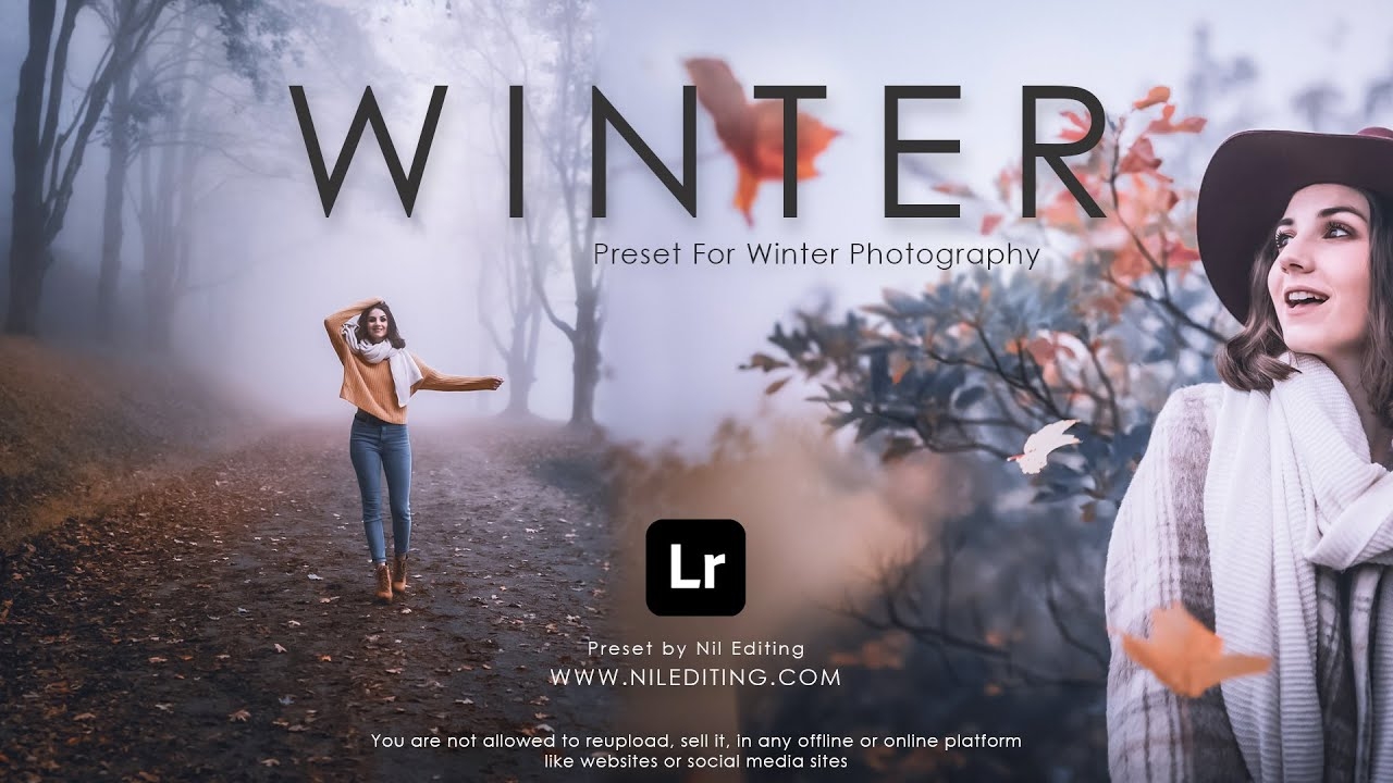 Free Presets for Lightroom mobile - Mp original скачать бесплатно Полезные  инструменты на Android из каталога RuStore от Piyush Rajgor