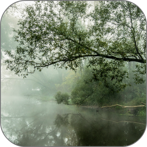Foggy Stream Live Wallpaper — иконка