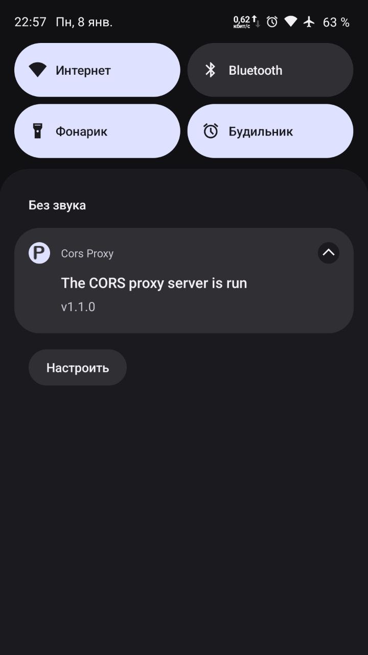 Cors Proxy скачать бесплатно Полезные инструменты на Android из каталога  RuStore от Muslim jamaat