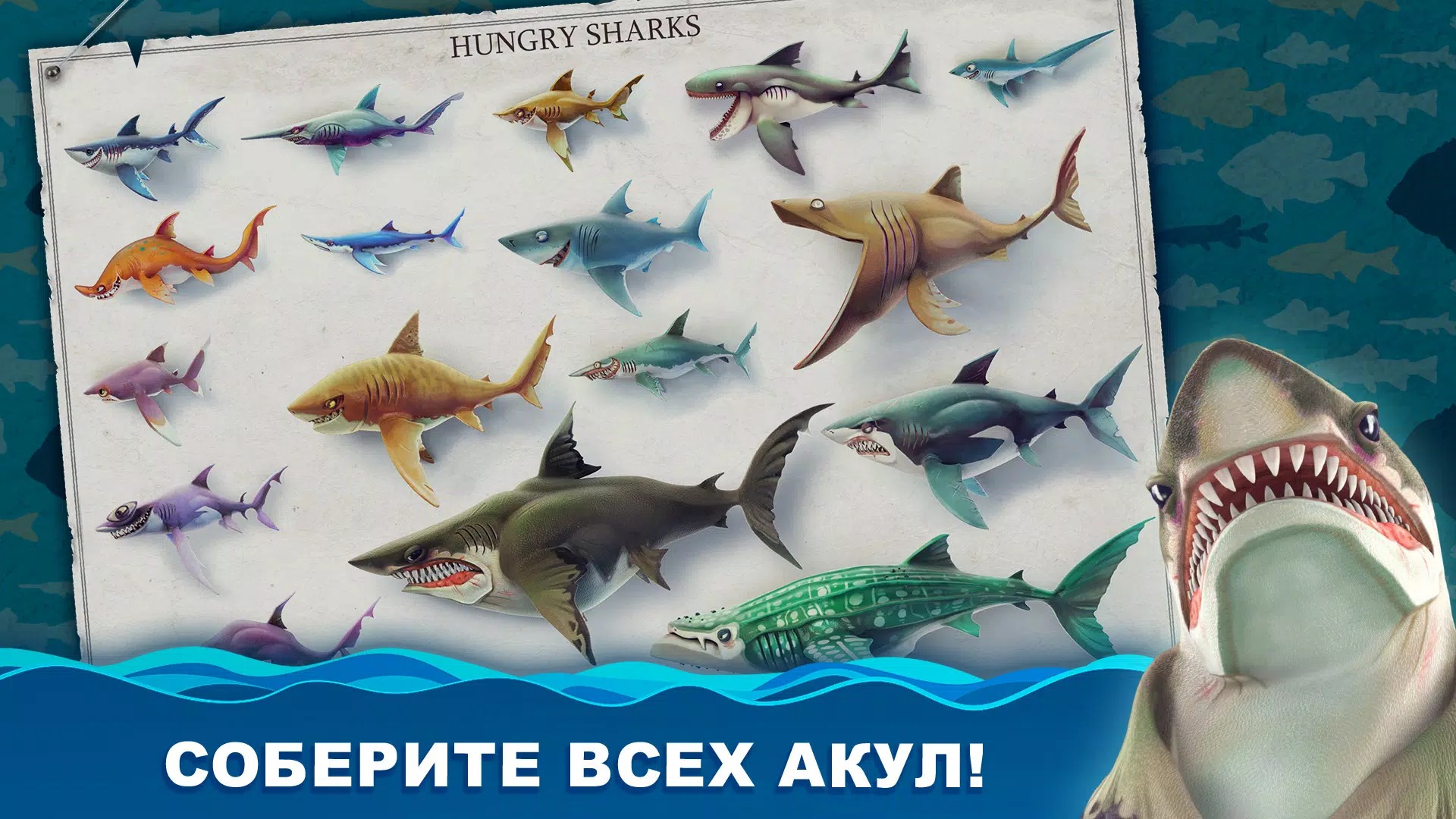 Hungry Shark World скачать бесплатно Аркады на Android из каталога RuStore  от Ubisoft Entertainment