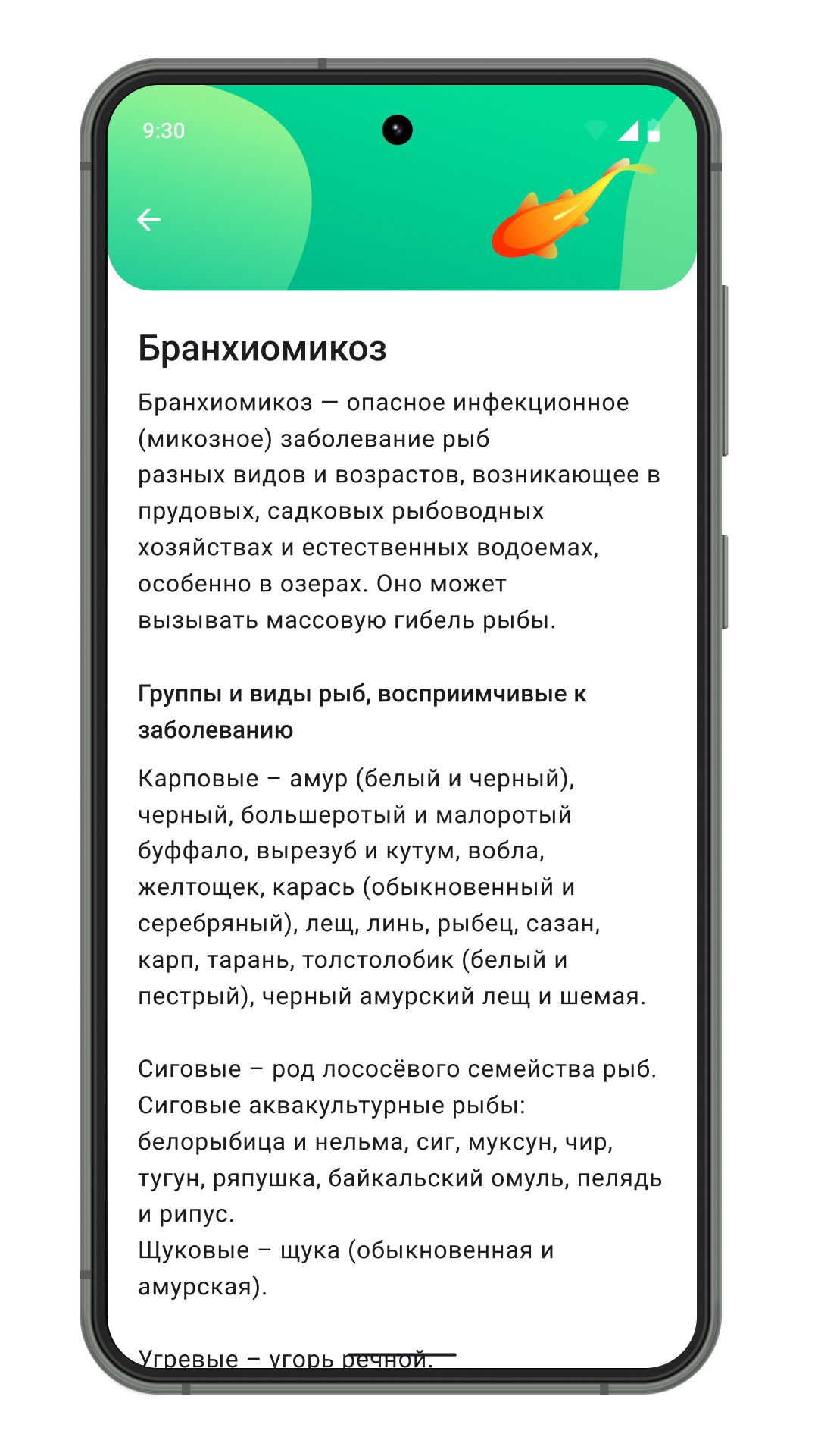 РыбИнф скачать бесплатно Образование на Android из каталога RuStore от  Шатохина Юлия Павловна