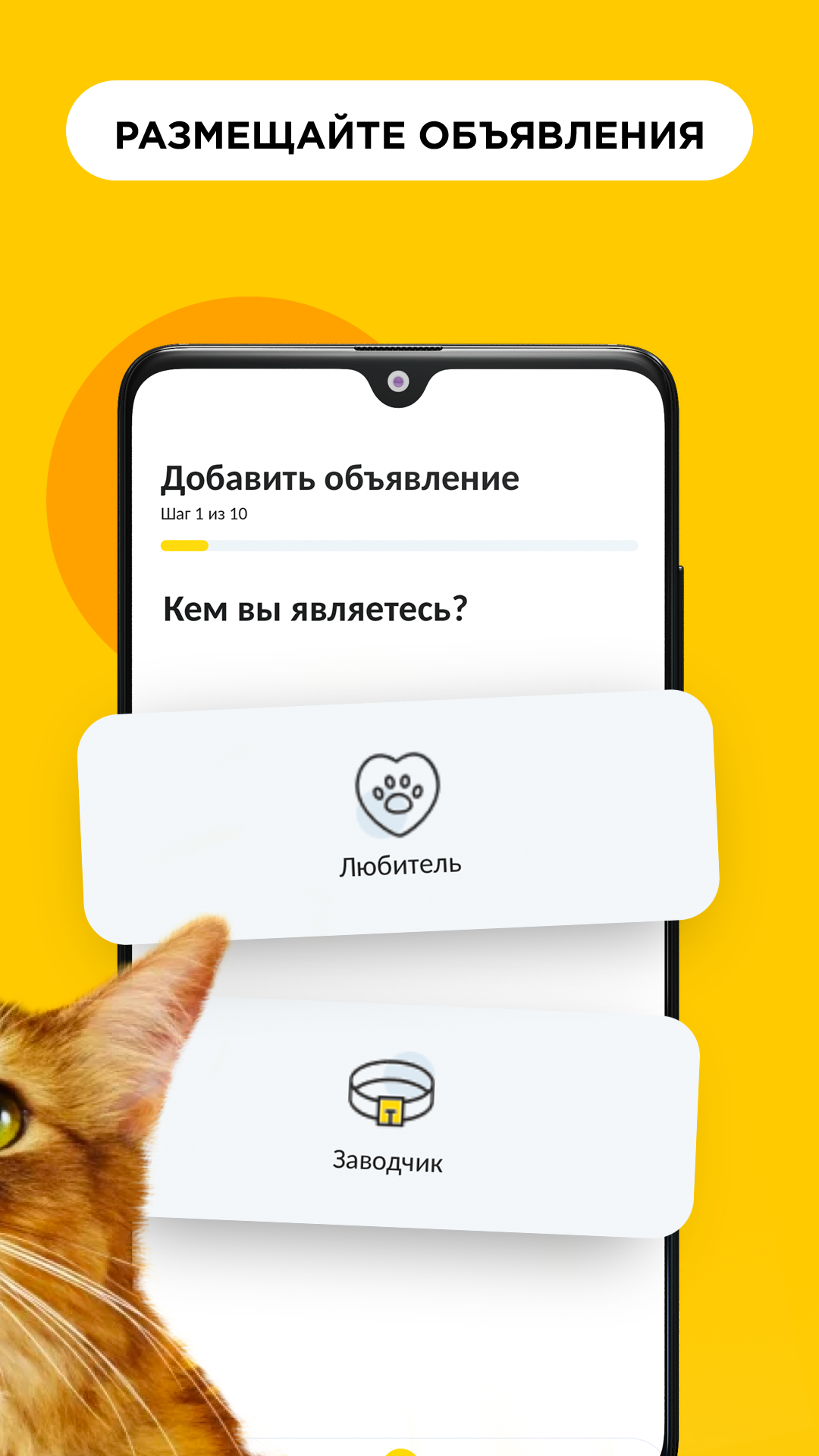 Petmode. Поиск питомца скачать бесплатно Питомцы на Android из каталога  RuStore от Petmode