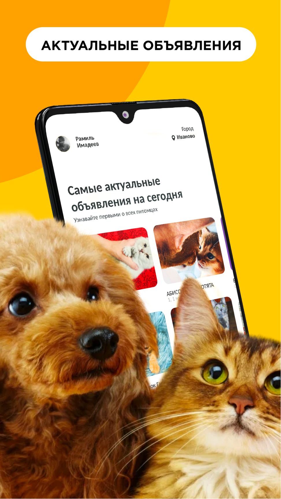 Petmode. Поиск питомца скачать бесплатно Питомцы на Android из каталога  RuStore от Petmode