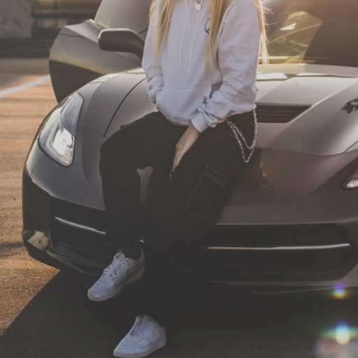 Изображение: Alacar