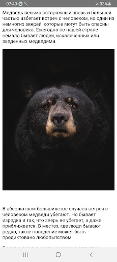 Изображение: Как спастись от медведя