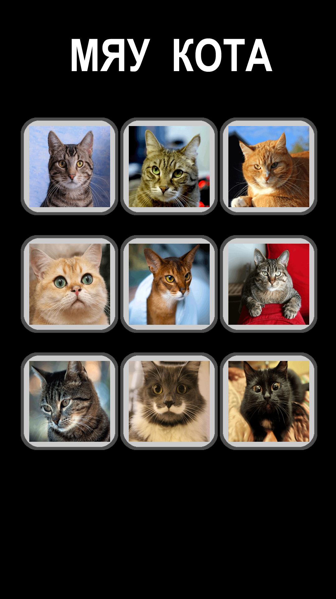 Звуки кошек, котов и котят: мяуканье, урчание – скачать приложение для  Android – Каталог RuStore