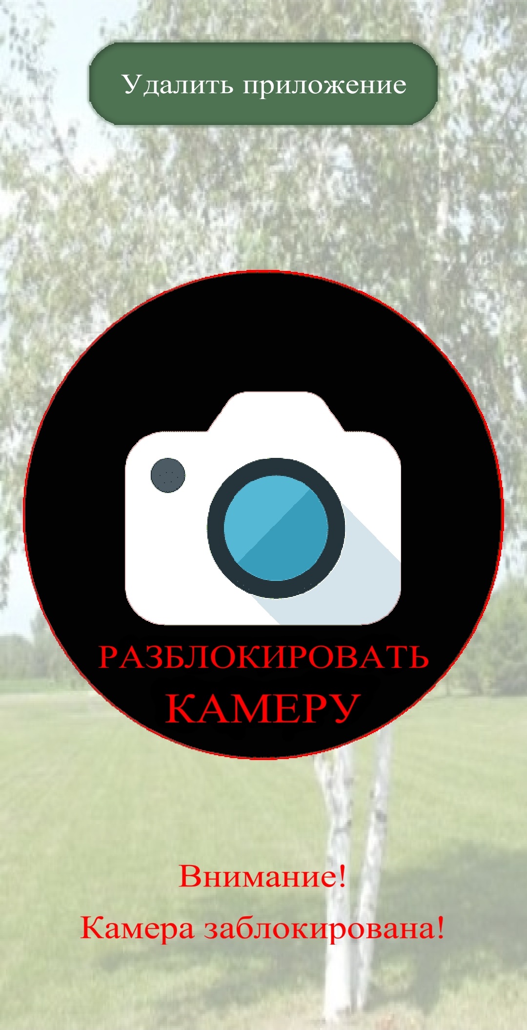 Берёзка - Блокировка Камеры – Скачать Приложение Для Android.