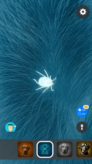 Скриншот 1/5