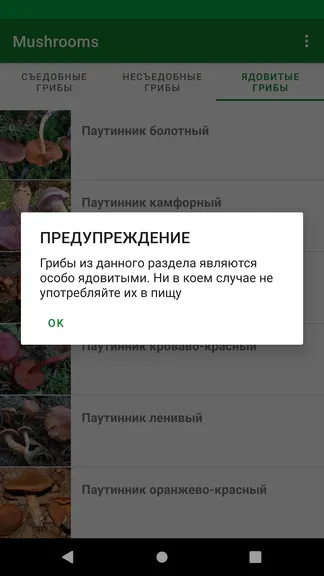 Скриншот 4/4