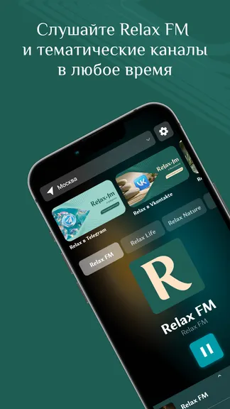 Скриншот 1/4