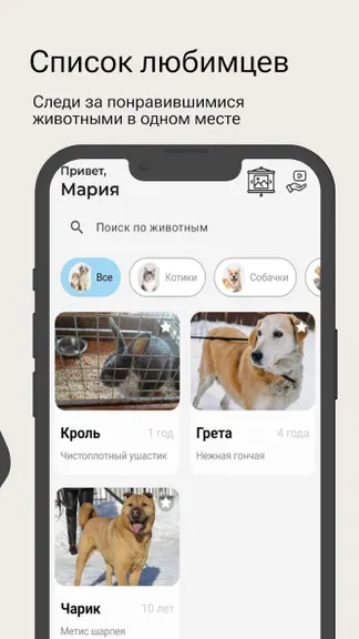 Скриншот 3/6