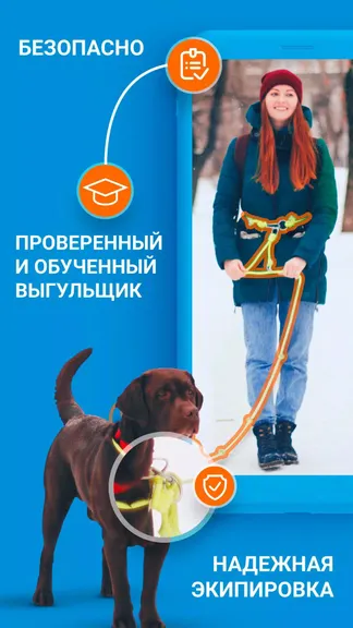 Скриншот 1/4