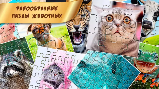 Скриншот 2/3
