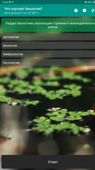 Скриншот 3/3