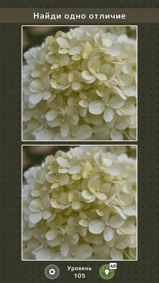 Скриншот 4/7