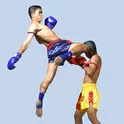 Muay Thai логотип