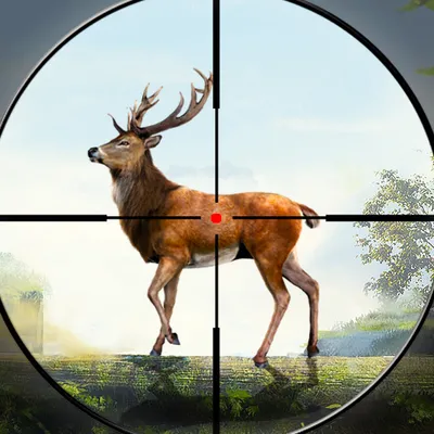 Jungle Deer Hunter