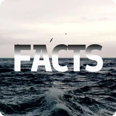 Ocean Facts