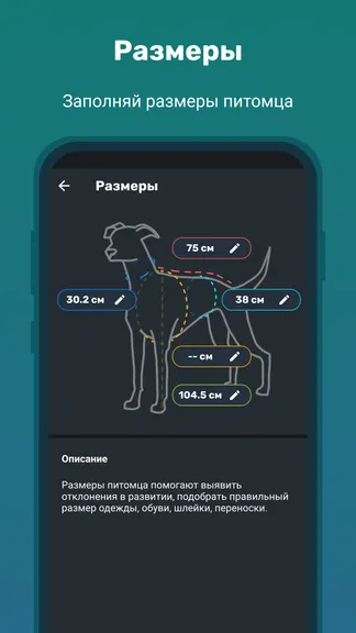 Скриншот 3/5