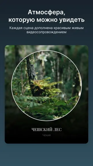 Скриншот 4/6