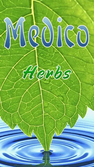 Скриншот 1/3