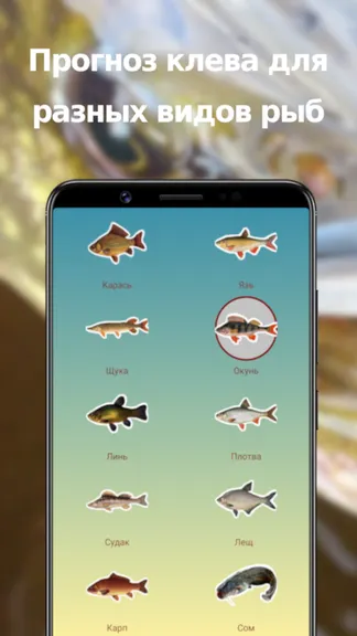 Скриншот 1/3