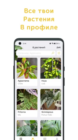 Скриншот 3/8