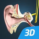 The mechanism of hearing 3D логотип