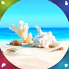 Beach Live Wallpapers