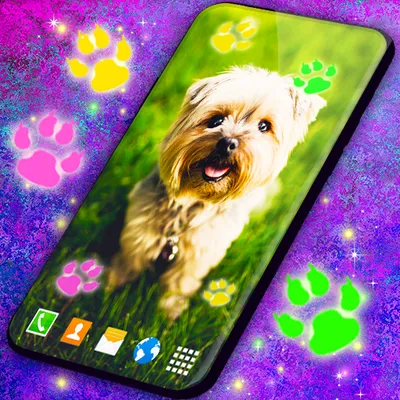 Cute Puppy Live Wallpaper